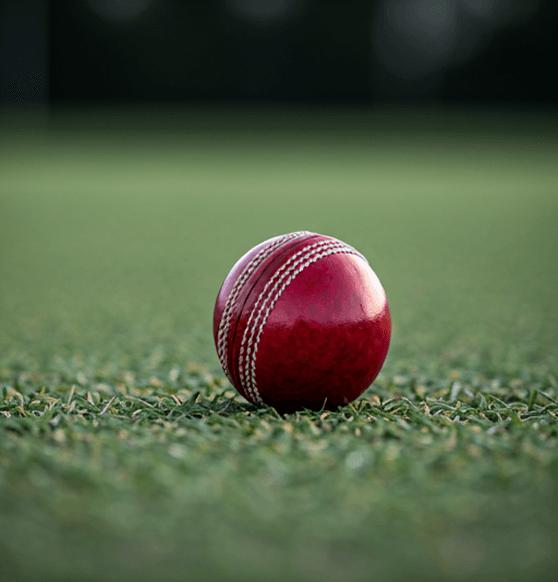 Cricket Ball on pitch